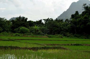 vang vieng, laos peyzaj