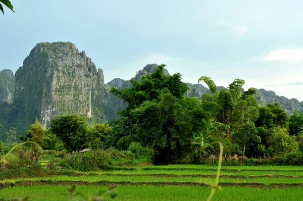 The landscape of vang vieng,laos — Stock Photo, Image