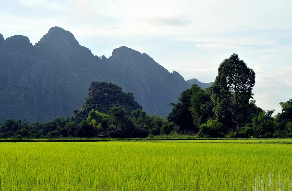 Le paysage de vang vieng, laos — Photo