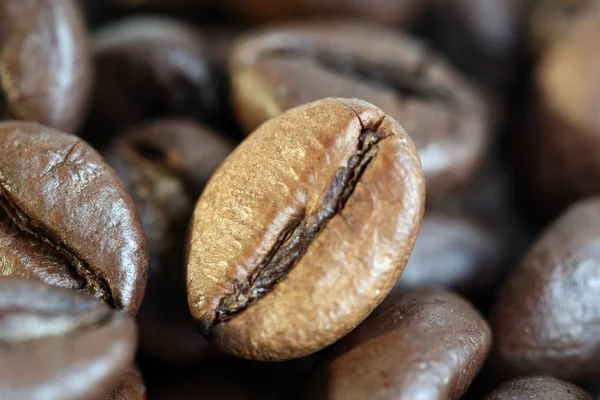 Illatos sült kávé bab — Stock Fotó
