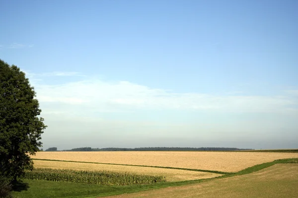 Land landskap — Stockfoto