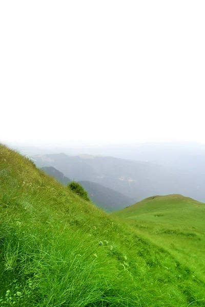 緑の丘 — ストック写真