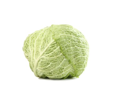 Green cabbage vegetable