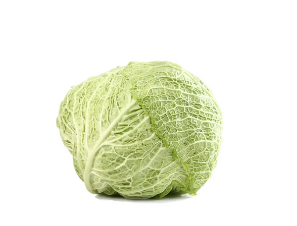 stock image Green cabbage vegetable