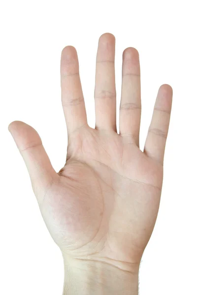 Man hand. — Stock Photo, Image