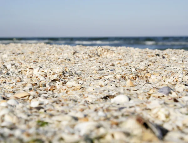Areia e conchas na praia . — Fotografia de Stock