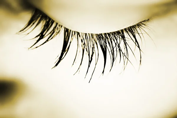 Большой глаз - MACRO — стоковое фото
