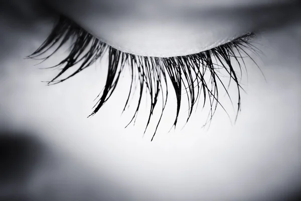 Μεγάλο μάτι - μακροεντολή — Φωτογραφία Αρχείου