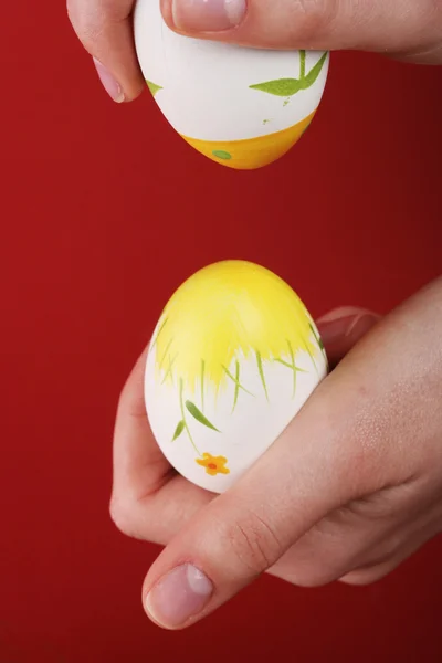 Narážela vejce — Stock fotografie