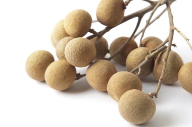 Longan