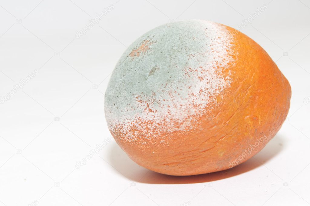 Rotten orange