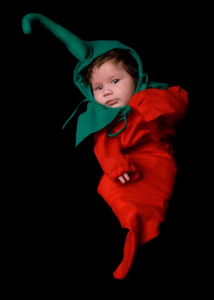 Kırmızı biber biber bebek — Stok fotoğraf