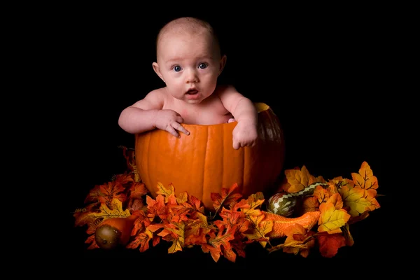 Baby in Large Pumpkin Isolated on Black — Stock Photo, Image