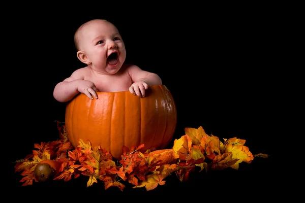 Baby in Large Pumpkin Isolated on Black — Stock Photo, Image