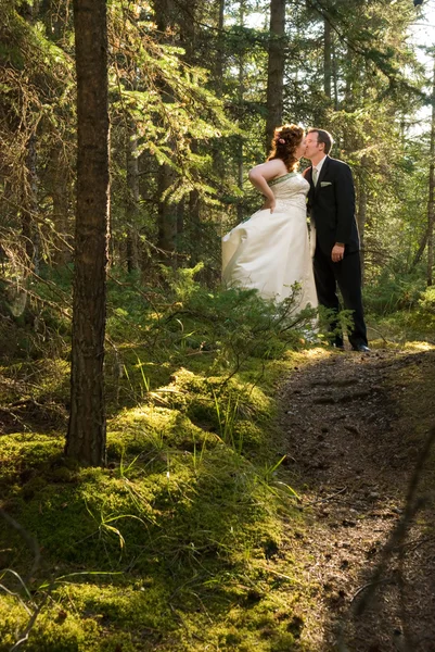 Bride and Groom Kissing in Forest — Stock Photo, Image