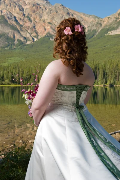 stock image Bride in the Mountains