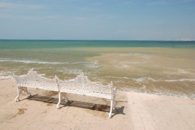 puerto vallarta gelen okyanus görmek