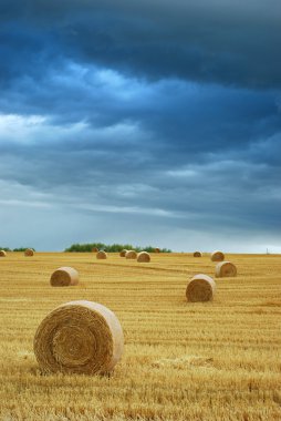 Hay Bales in Field with Stormy Sky clipart