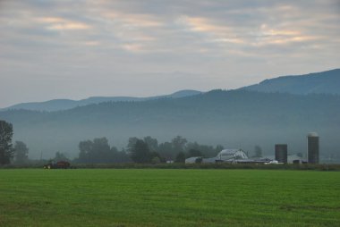 çiftlikte puslu sabah