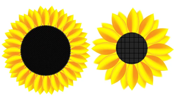 Sunflowers — Stock Vector