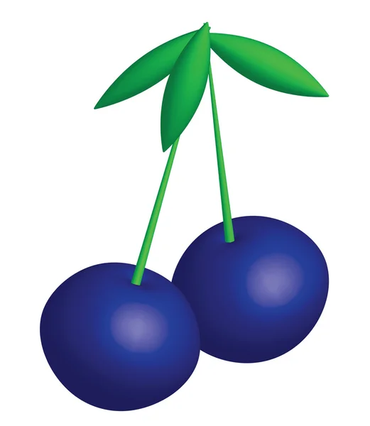 Синие вишни — стоковый вектор