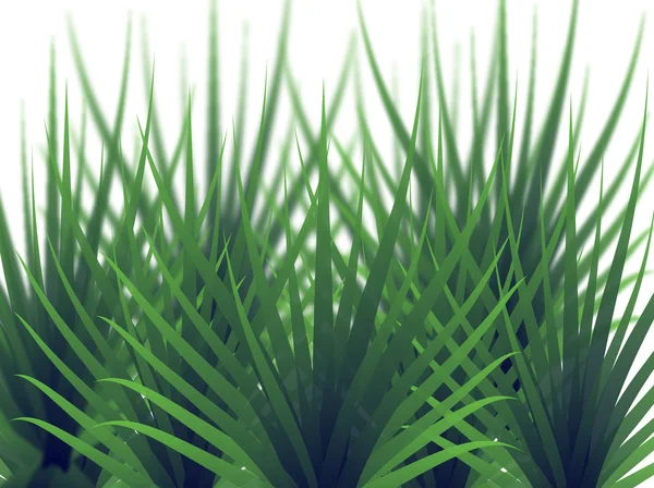Gräs bakgrund — Stock vektor