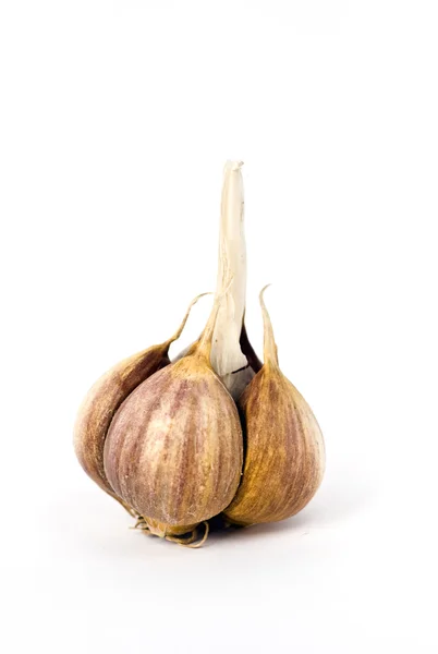 stock image Garlic