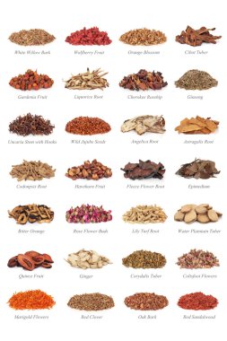 Chinese Herb Collection clipart