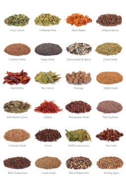 Spice and Herb Collection clipart