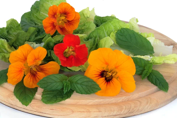 Nasturtian virág- és gyógynövény saláta — Stock Fotó