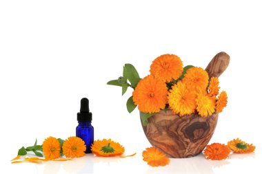 Marigold Flower Essence clipart