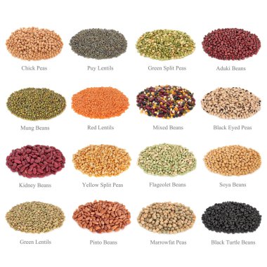 Pulses Collection with Titles clipart