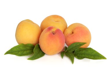 Apricot Fruit clipart