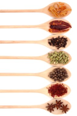 Spice Collection clipart