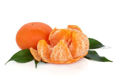 Tangerine Fruit clipart