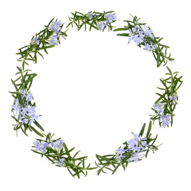 Rosemary Herb Flower Garland clipart