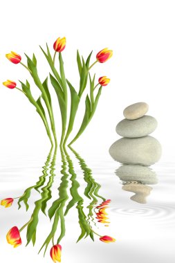 Zen Garden Beauty clipart