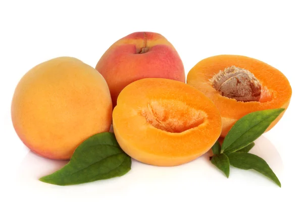 Aprikosenfrucht — Stockfoto