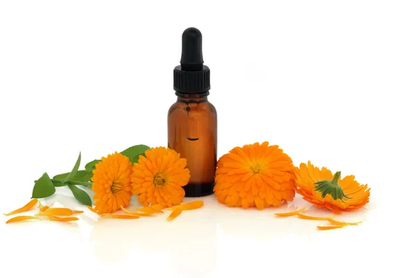 Marigold Flower Essence — Stock Photo, Image