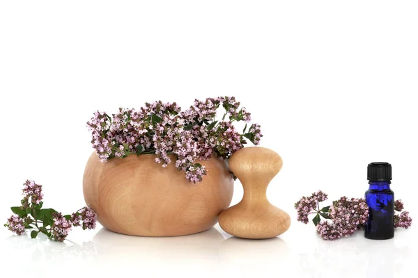Majoránka bylina s květinami — Stock fotografie