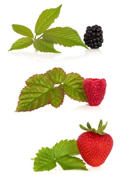 Blackberry, Raspberry ve Strawberry — Stok fotoğraf