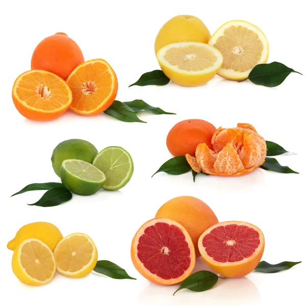 Citrus gyümölcs kollekció — Stock Fotó