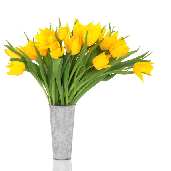 Gele tulp bloemen — Stockfoto