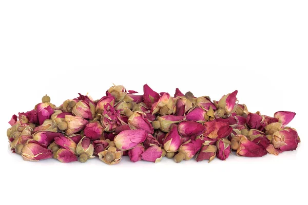 Flor de rosa Buds — Fotografia de Stock