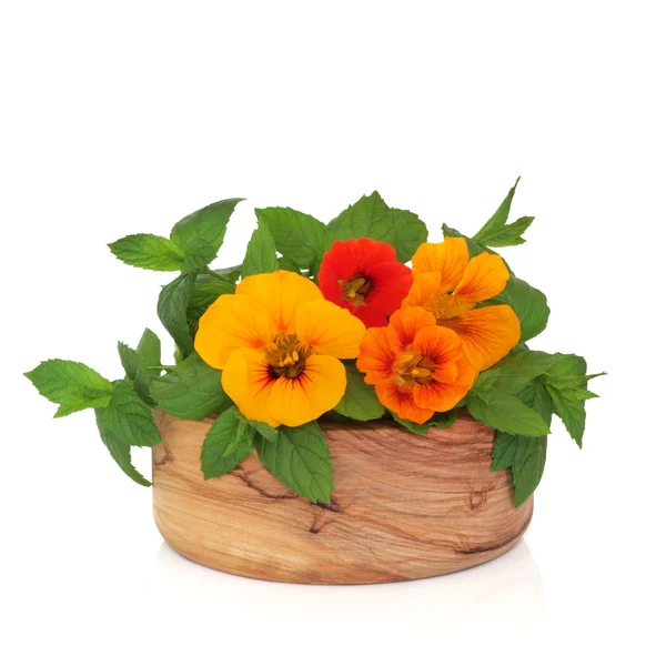 Nasturtian çiçekler ve nane ot — Stok fotoğraf