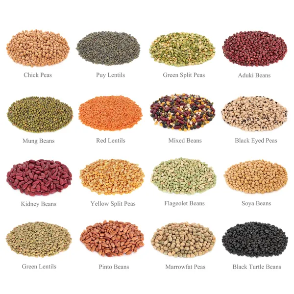 Pulses Collection with Titles — Stock Photo, Image
