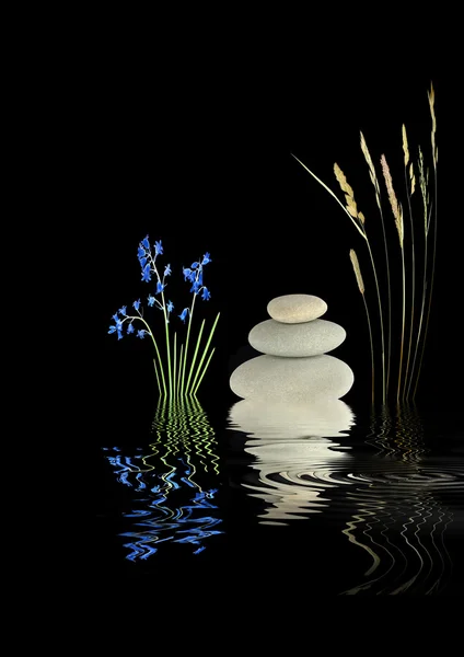 Zen kert szépség — Stock Fotó
