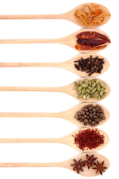 Spice Collection — Stock Photo, Image