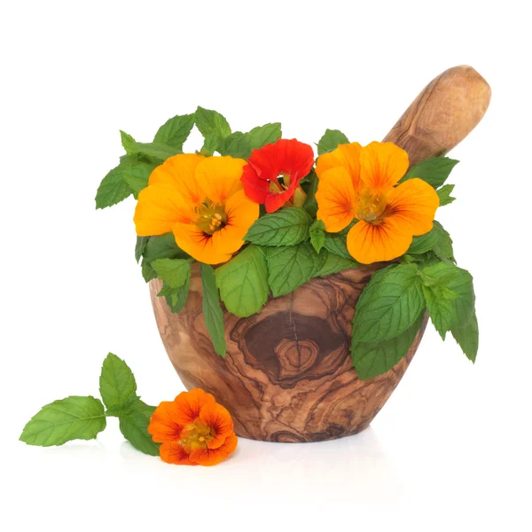 Nasturtian virágok és menta gyógynövény — Stock Fotó
