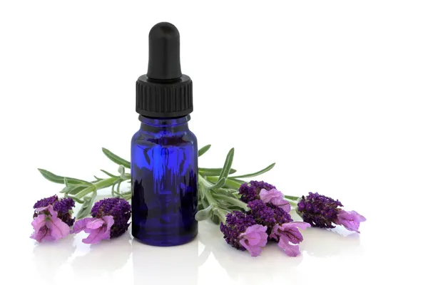 Lavendel kruid bloem essentie — Stockfoto